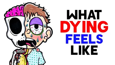 What Dying Feels Like According to New Scientific Research