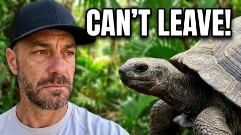 Why Leaving Camp Always Causes Stress and Drama for This Content Creator