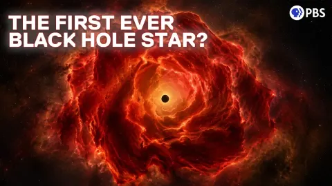 James Webb Telescope May Have Found a Black Hole Star Unlike Anything Known
