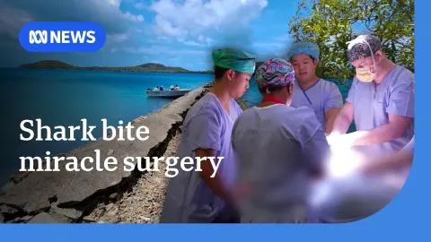 Teen Survives Massive Shark Bite to Abdomen After World-First Surgeries in Australia