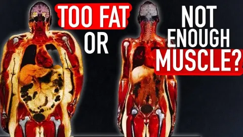 Why Muscle Mass Matters More Than Body Fat for Health