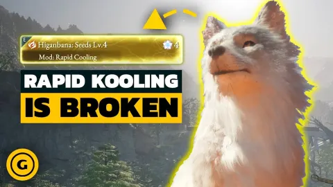 Beast You Features and What to Know