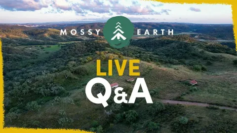 Mossy Earth's 2026 Plans: Rewilding, Permitting Challenges, and Community Engagement