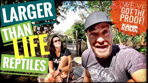 Personality Camp Explained Clearly