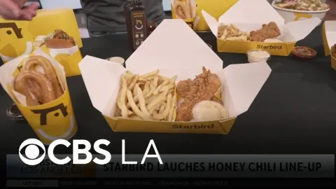 Starbird Launches Honey Chili Menu with Crispy Chicken and Bold New Flavors This Fall