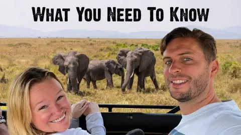 Essential African Safari Tips for First Timers