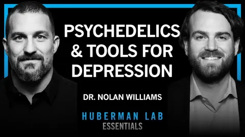 How Psychedelics and Brain Stimulation Rewire Neural Circuits for Depression