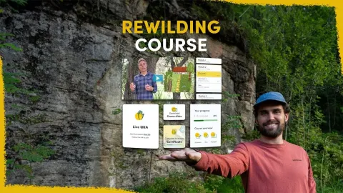 Introducing a New Rewilding Course to Help You Get Involved in Nature Restoration