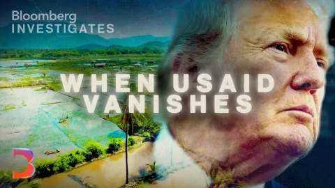There Usaid Features and What to Know