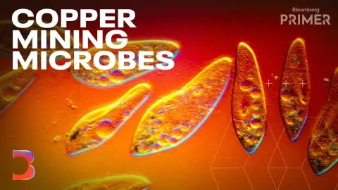 How Microbes Could Help Meet the World's Growing Copper Demand