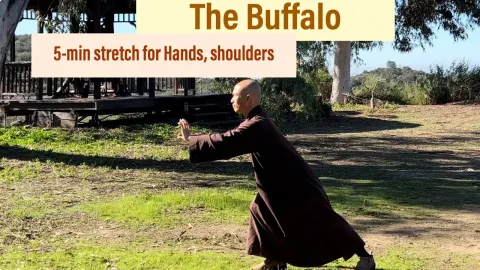 Qigong Buffalo Stretch for Hands and Shoulders: A 5-Minute Morning Routine