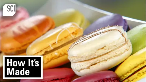 How Macarons, Banana Chips, Candy Wafers, and Blueberries Are Made