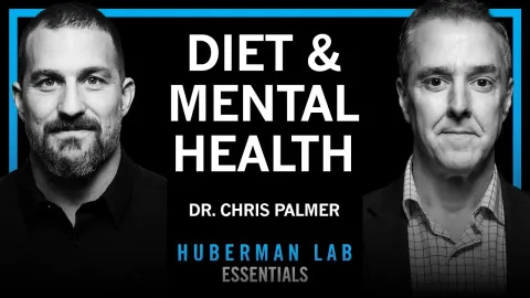 How Diet and Nutrition Can Transform Mental Health According to Dr. Chris Palmer