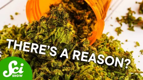 Why Some People Never Get High From Marijuana Despite Large Doses