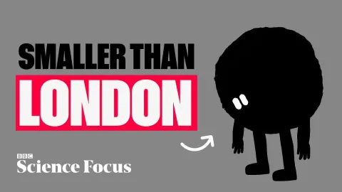 Debunking Four Major Black Hole Misconceptions