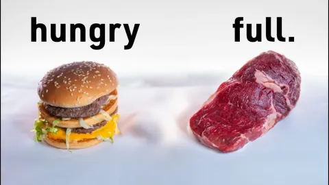 Why Your Body Craves More Protein Than You Think