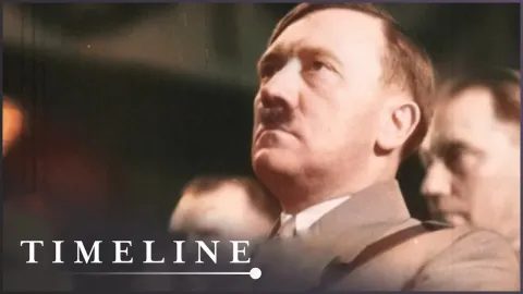 They Nazi Features and What to Know