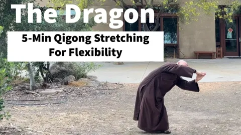 Dragon Qigong Stretching Routine for Spine and Back Health