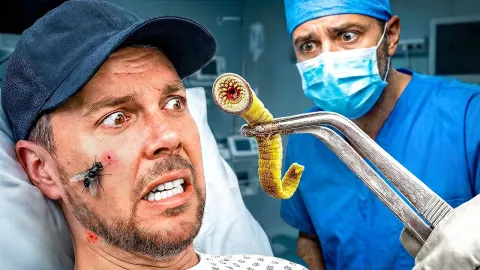 The Most Dangerous Insects That Send People to the Hospital