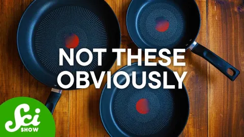 The Best Frying Pan According to Scientific Research