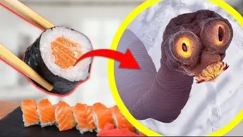 The Hidden Danger in Your Sushi Parasites That Can Infect Your Body