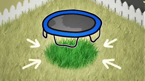 The Surprising Reason Grass Thrives Under Trampolines