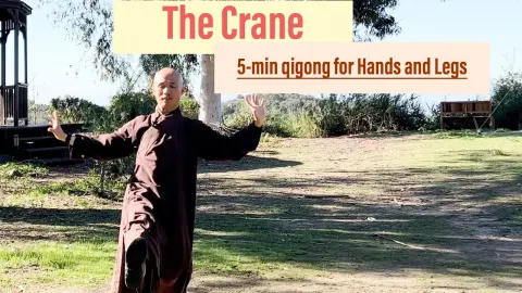 Qigong Crane Exercise for Hand and Leg Relaxation
