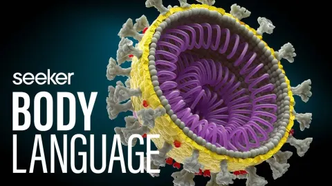 How COVID-19 Disrupted Cancer Screenings and What Vaccines Mean for Patients