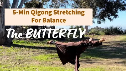 Butterfly Qigong Stretch: Improve Spine Health and Balance with This Daily Routine