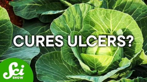How Cabbage Became an Unlikely Treatment for Ulcers in the 20th Century