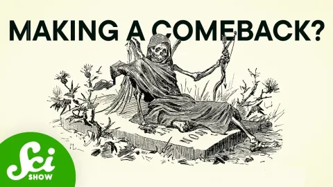 Why the Plague Could Make a Comeback and What That Means for Us