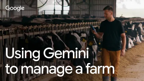 You Gemini and the Market Impact