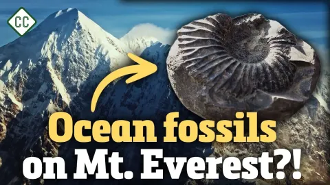 How Tectonic Forces Build Mountains and Shape Earth's Landscape