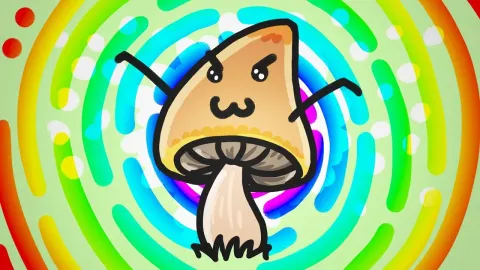 Why Some Mushrooms Produce Psychedelic Compounds