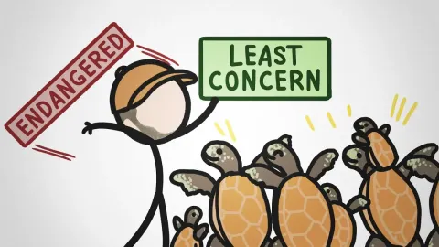 Green Sea Turtles Defy Extinction Odds as Conservation Success Offers Lessons for Other Species