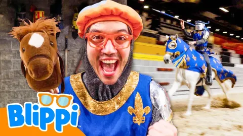 A Day at Medieval Times Learning About Knights and Horses