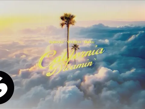 California Dreamin Features and What to Know