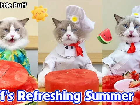 How to Make Watermelon Fries and Ice Cream in a Bag: Fun Summer Treats