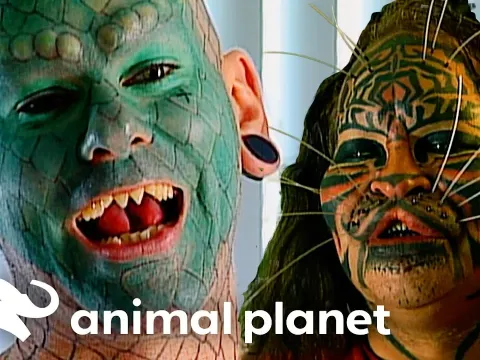 The Extreme World of Humanimals Who Transform Into Animals