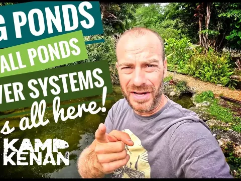 All She Facts Risks and Advice