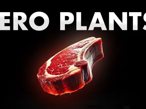 The Carnivore Diet and Its Surprising Health Benefits