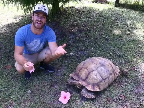 Kamp Kenan Answers the Top 5 Questions About Tortoise Care and Behavior