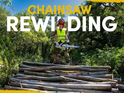 Why We Are Cutting Down Thousands of Eucalyptus Trees to Restore Native Woodlands