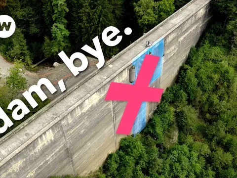 Why Europe Is Removing Thousands of Dams to Restore Rivers and Ecosystems