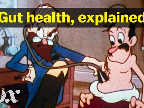 Gut Health Myths and Facts What Science Really Says