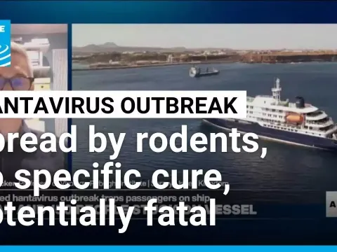 Hantavirus Outbreak on Cruise Ship: What You Need to Know About the Rodent-Borne Disease