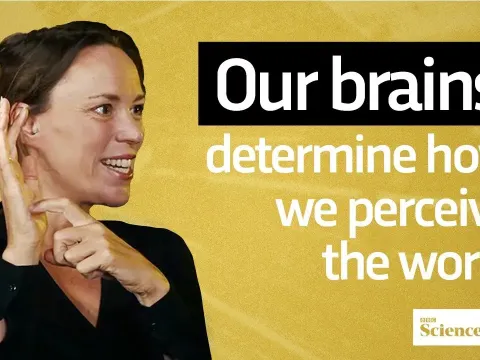 How Neuroscience Challenges Free Will: Insights from Dr. Hannah Critchlow