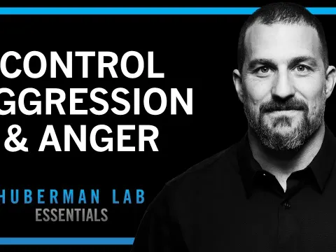 The Science of Aggression: Understanding Reactive and Proactive Types
