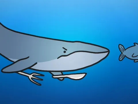 Why Blue Whales Prefer Krill Over Fish: The Science of Giant Filter Feeders