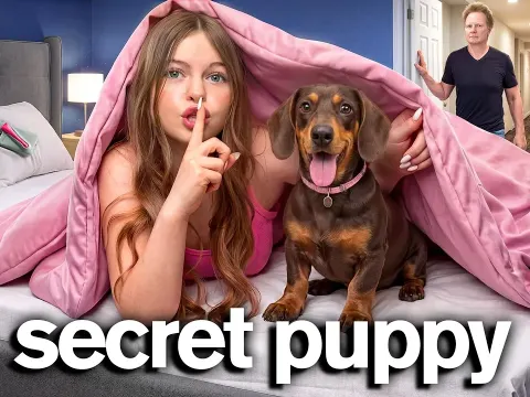 Rescuing a Lost Puppy and Keeping It Secret from Family